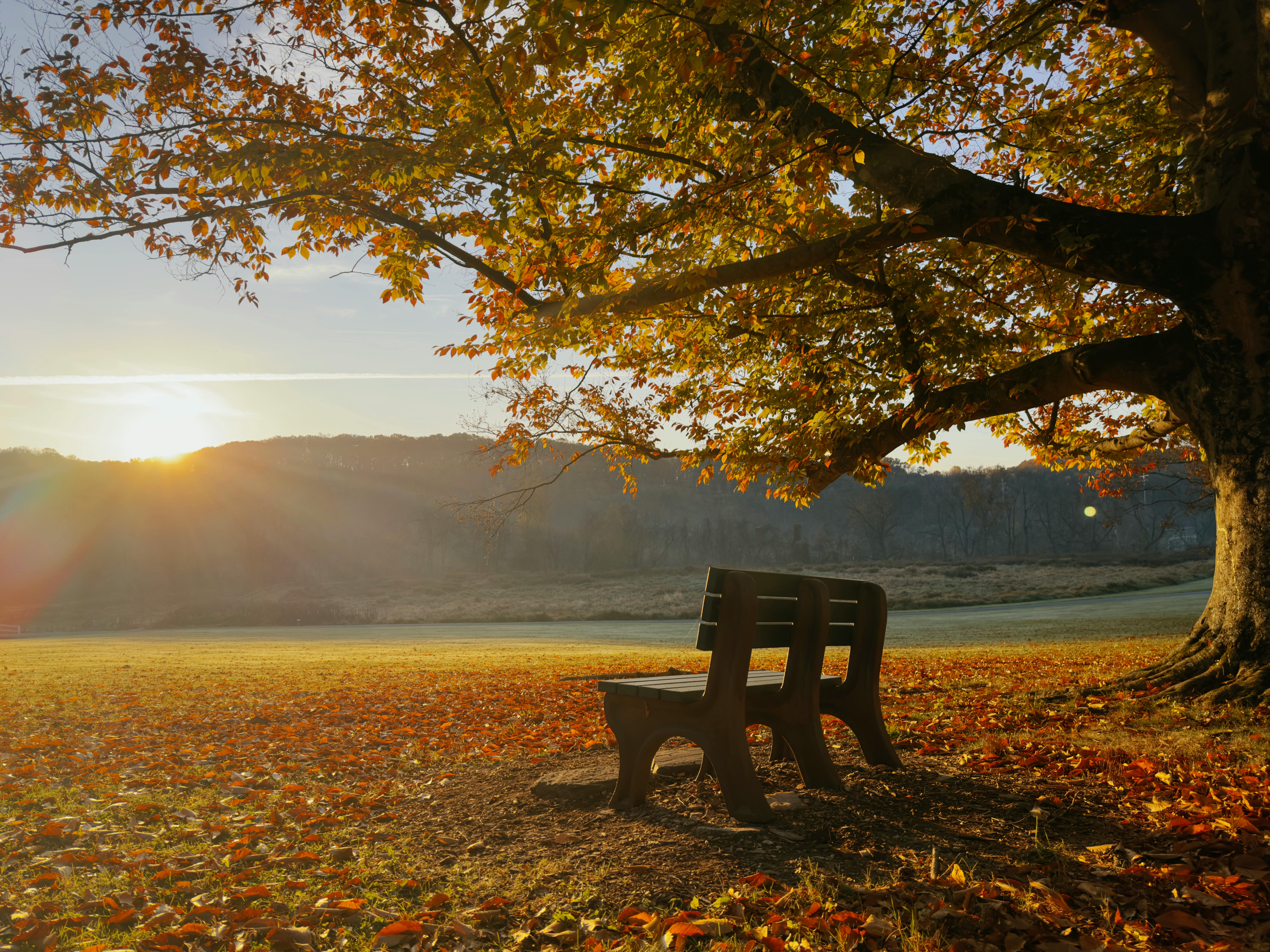 Det personlige lederskab